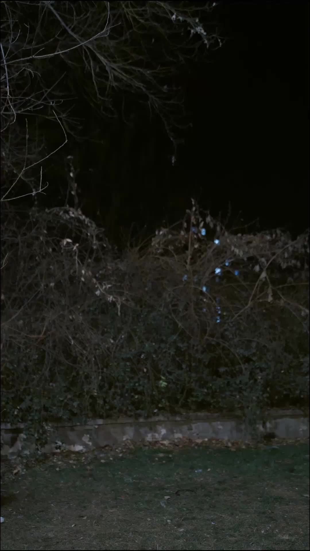 第25集